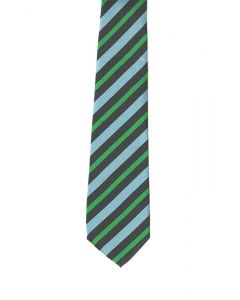 North Shore Academy Tie (Green)