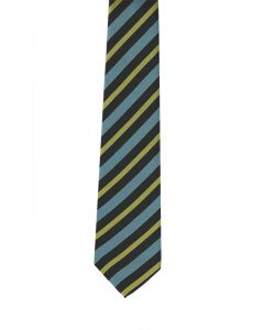 North Shore Academy Tie (Yellow)