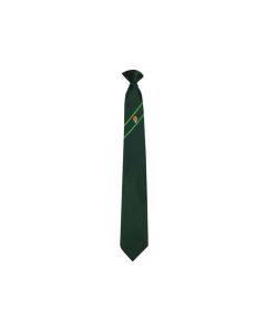 St Patrick's RC Comp Tie