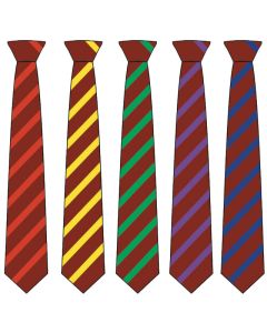 Northfield School Tie (new)
