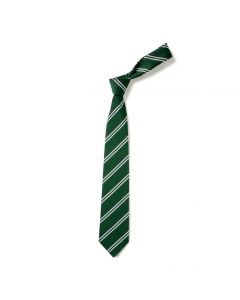 Polam Hall Junior Tie - Green & Silver